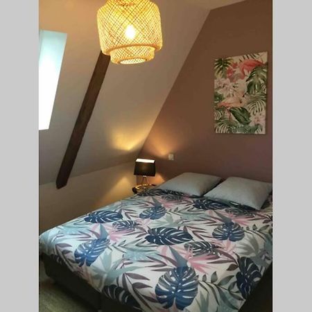 Appartement Dans Maison De 1789 Au Centre De Vitre Экстерьер фото